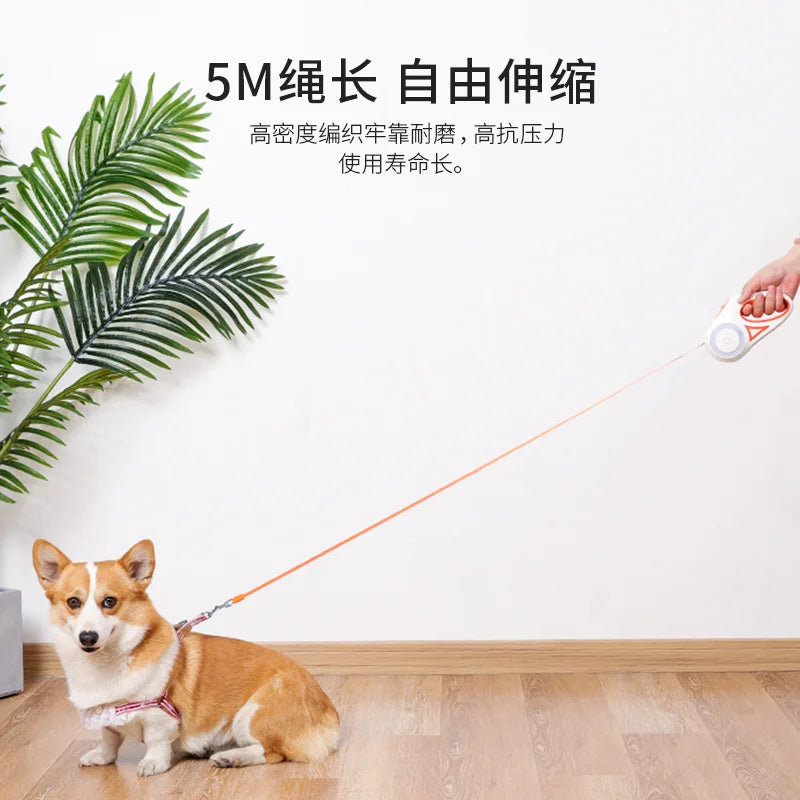 LED Retractable Dog Leash
