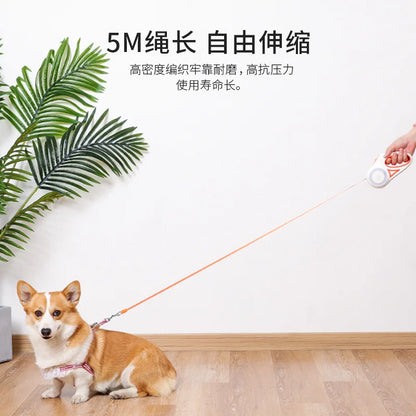 LED Retractable Dog Leash